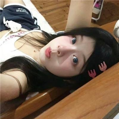 笨金鱼